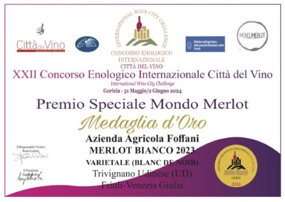 Fantasia di Merlot - immagine 2